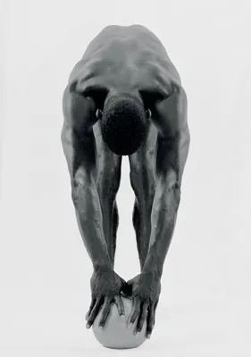 The Black Panther